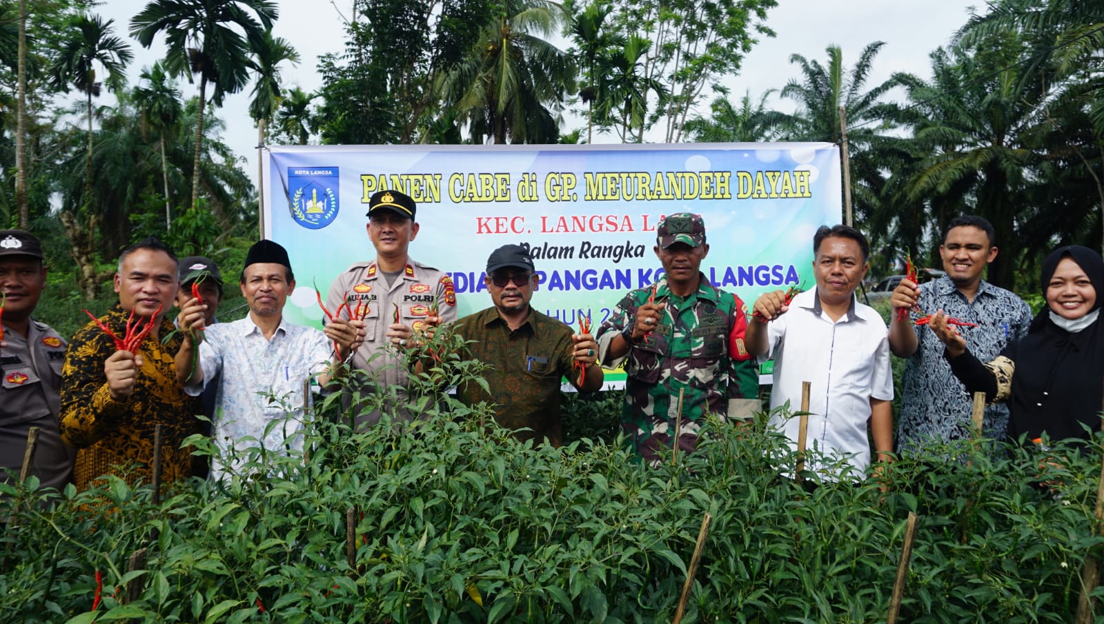 Pj. Walikota Langsa memanen cabai di Gampong Meurandeh Dayah Kecamatan Langsa Lama dalam rangka Ketahanan Pangan dan Pengendalian Inflasi Kota Langsa Tahun 2023.