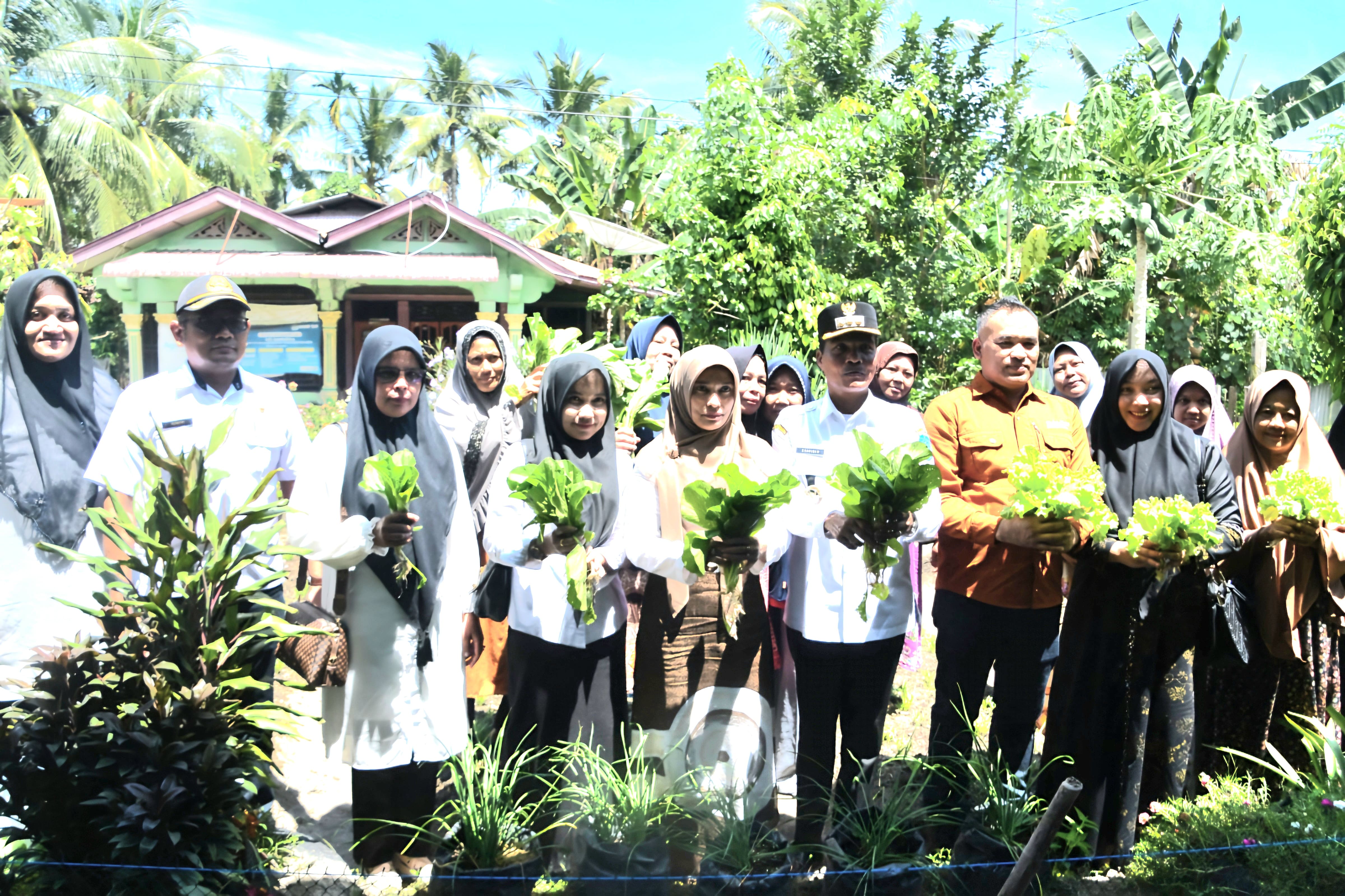 Pj. Walikota Langsa Kunjungi Pekarangan Pangan Lestari.